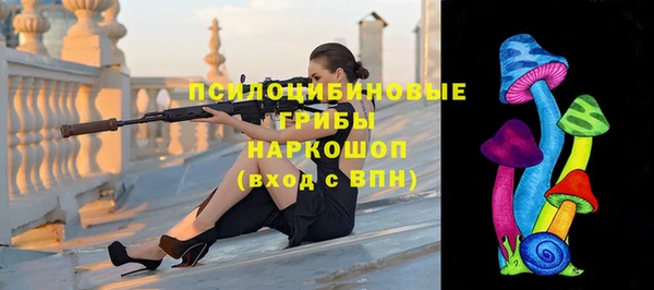 a pvp Бородино