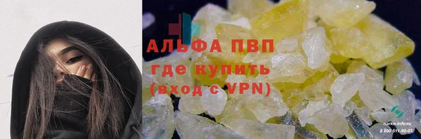 a pvp Бородино